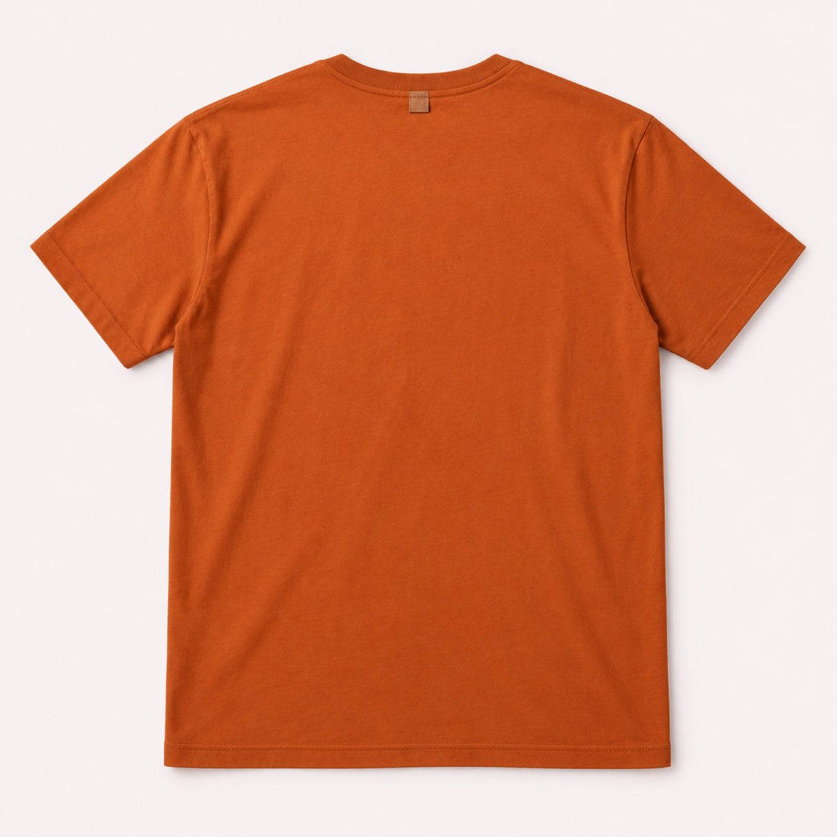 Camiseta Ele Vive Retrô – Laranja – costas